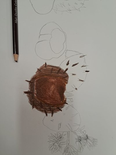 Zajęcia plastyczne 30.09.23